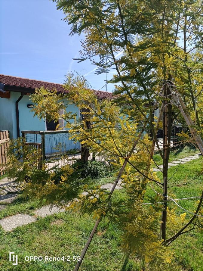 Ferienwohnung Casa Oasi Villa Cameroni Exterior foto